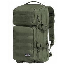 Тактичний рюкзак Pentagon Tac Maven Assault Small 35l (D16001-06) - Оливковий Тактичний рюкзак Pentagon Tac Maven Assault Small 35l (D16001-06) - Оливковий